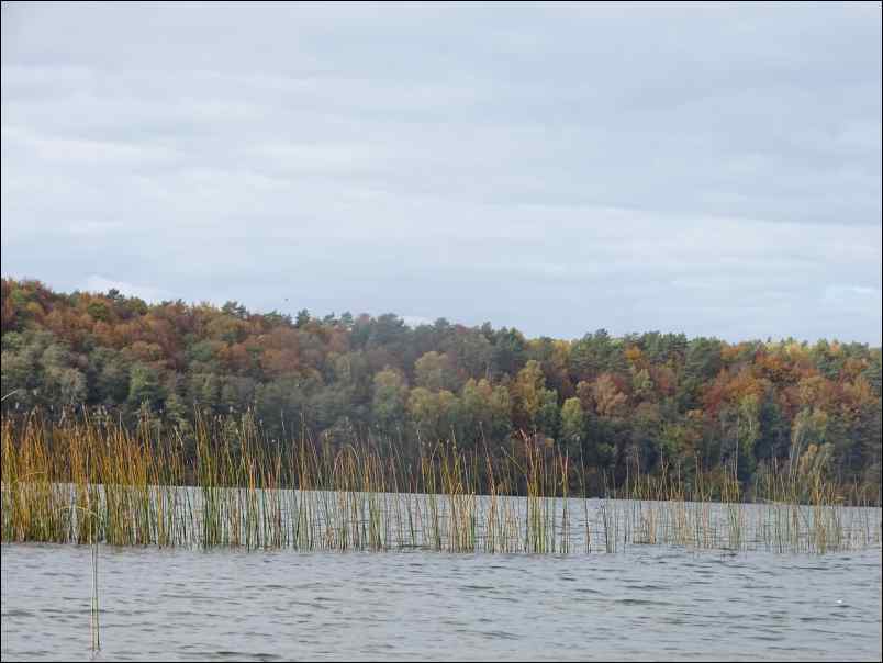 DSC00247