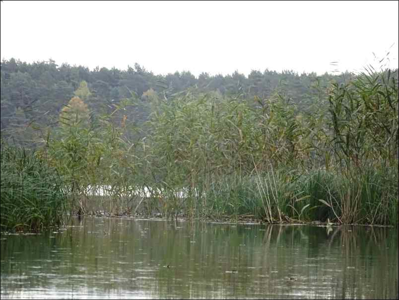 DSC00291