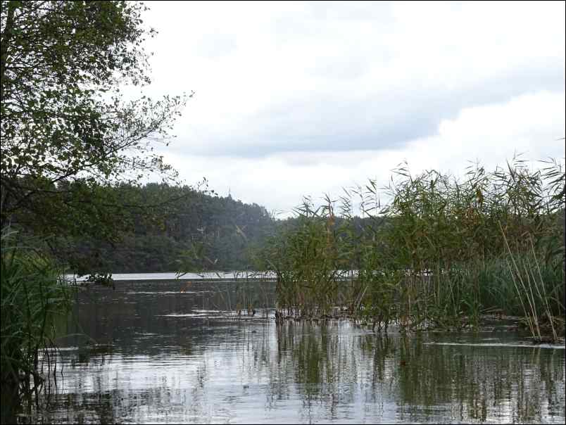 DSC00294