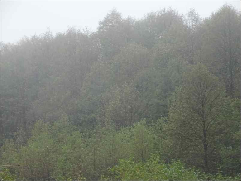 DSC00356