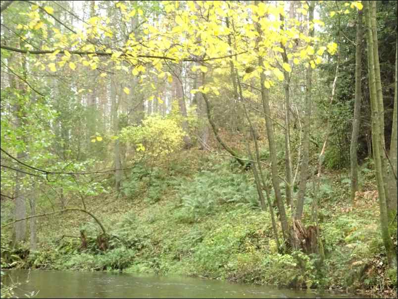 DSC00384
