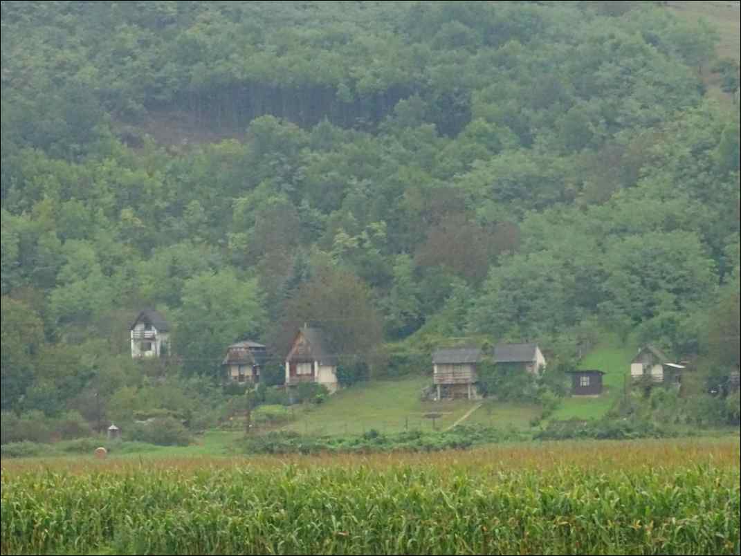 DSC01877