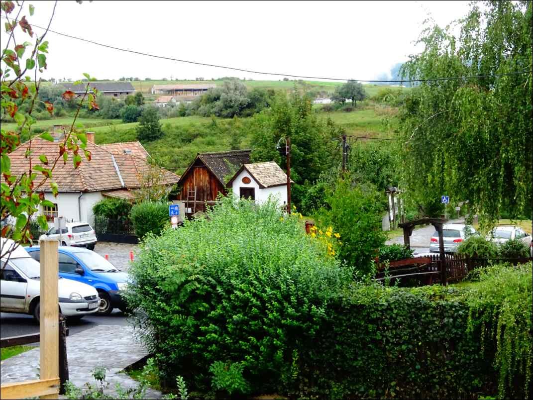 DSC01891
