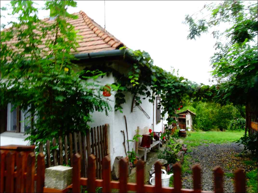 DSC01904