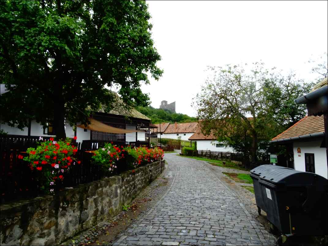 DSC01944