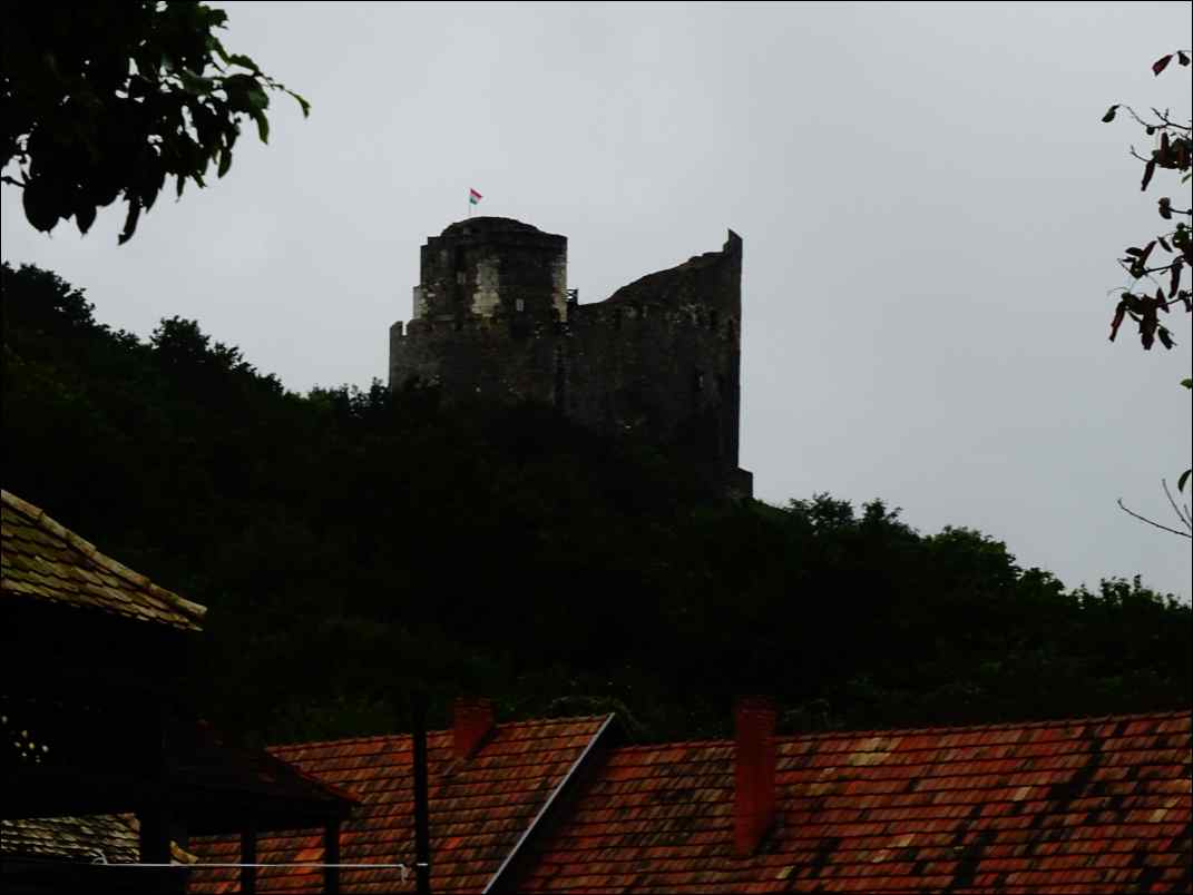 DSC01946