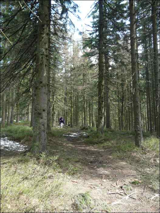 P1010481
