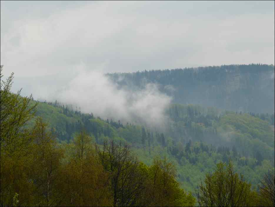P1010525