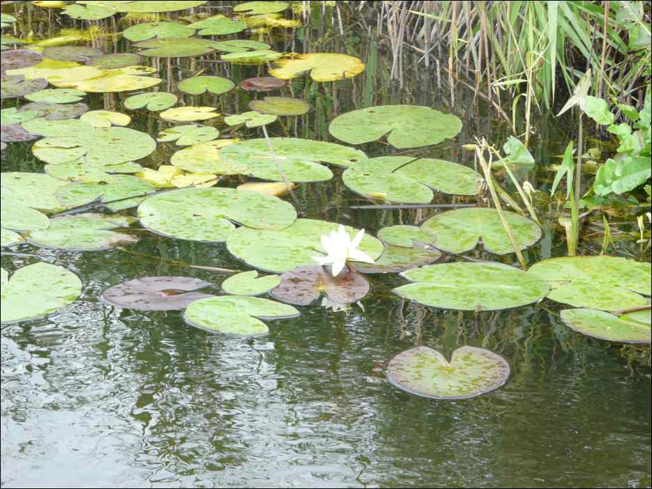 P1120725