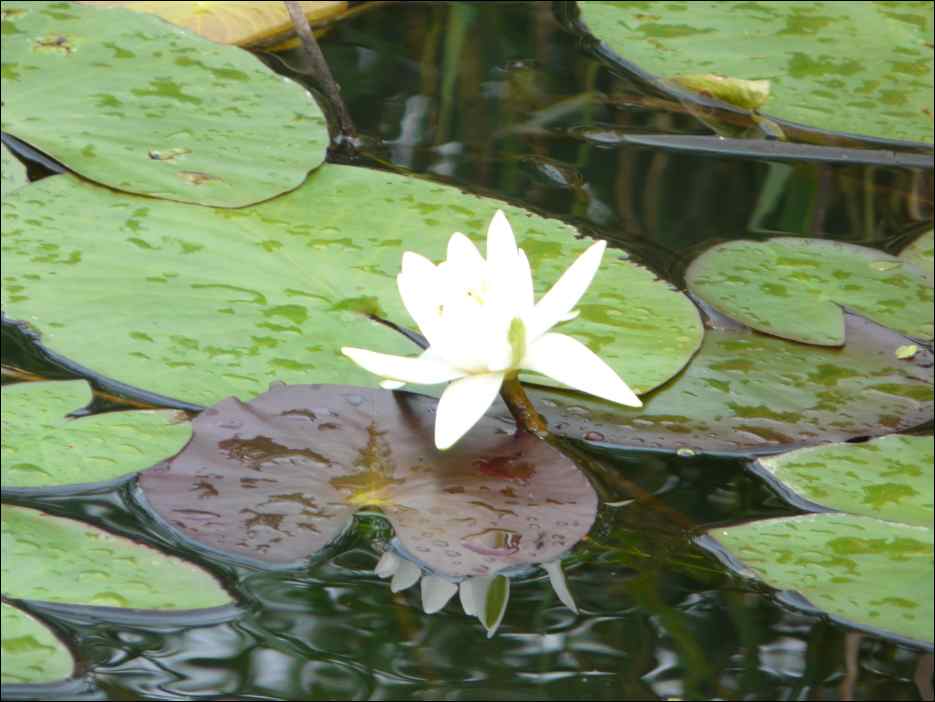P1120727