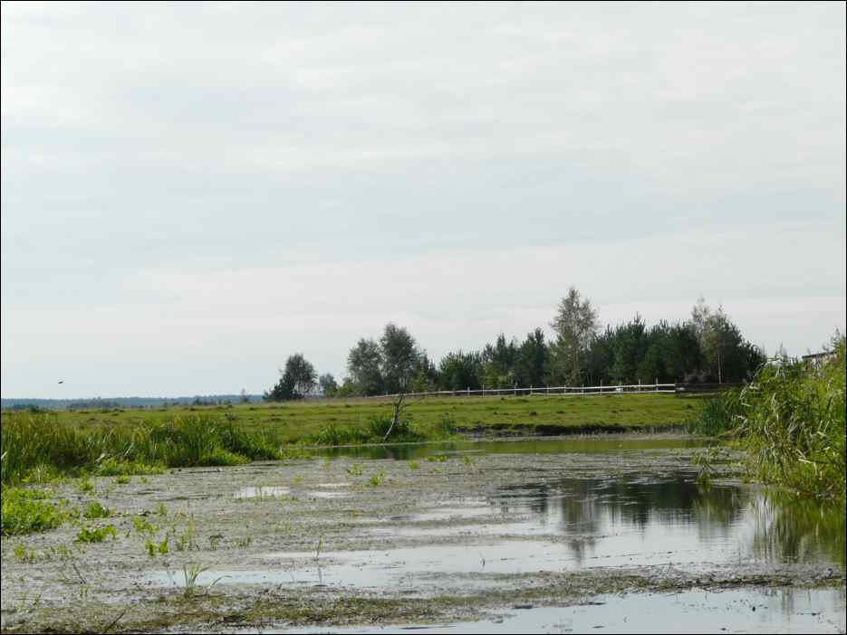 P1120786