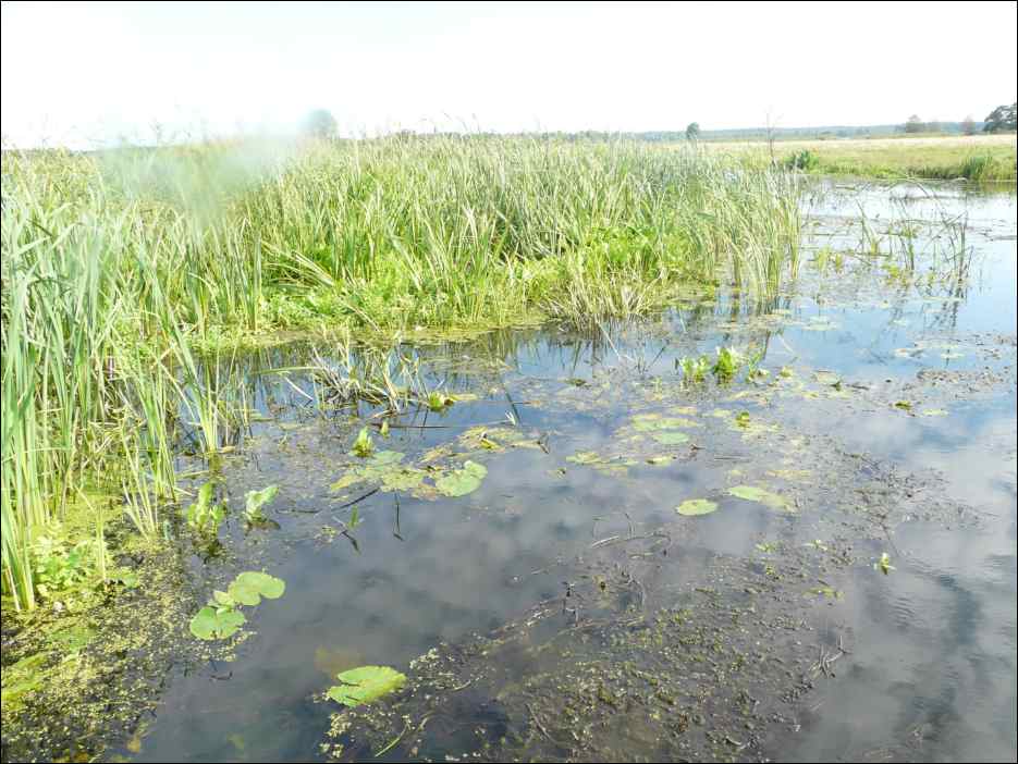 P1120790