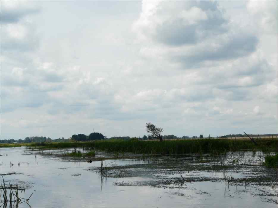 P1120795