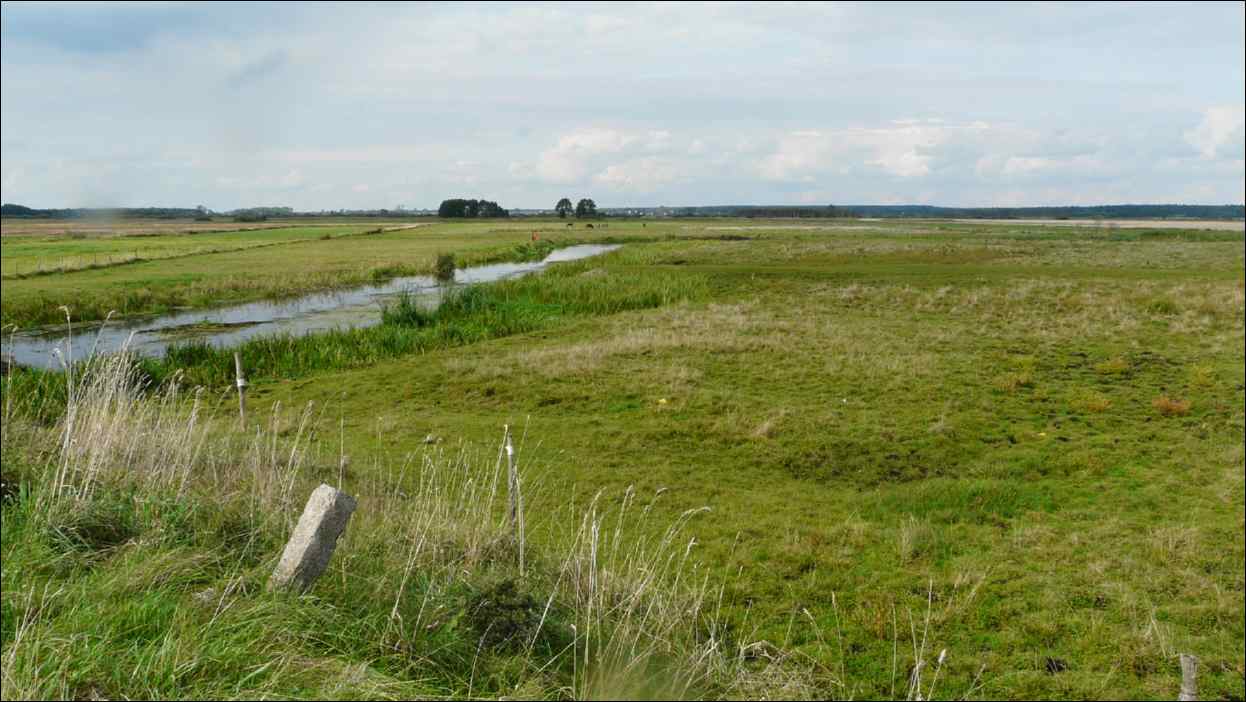 P1120803
