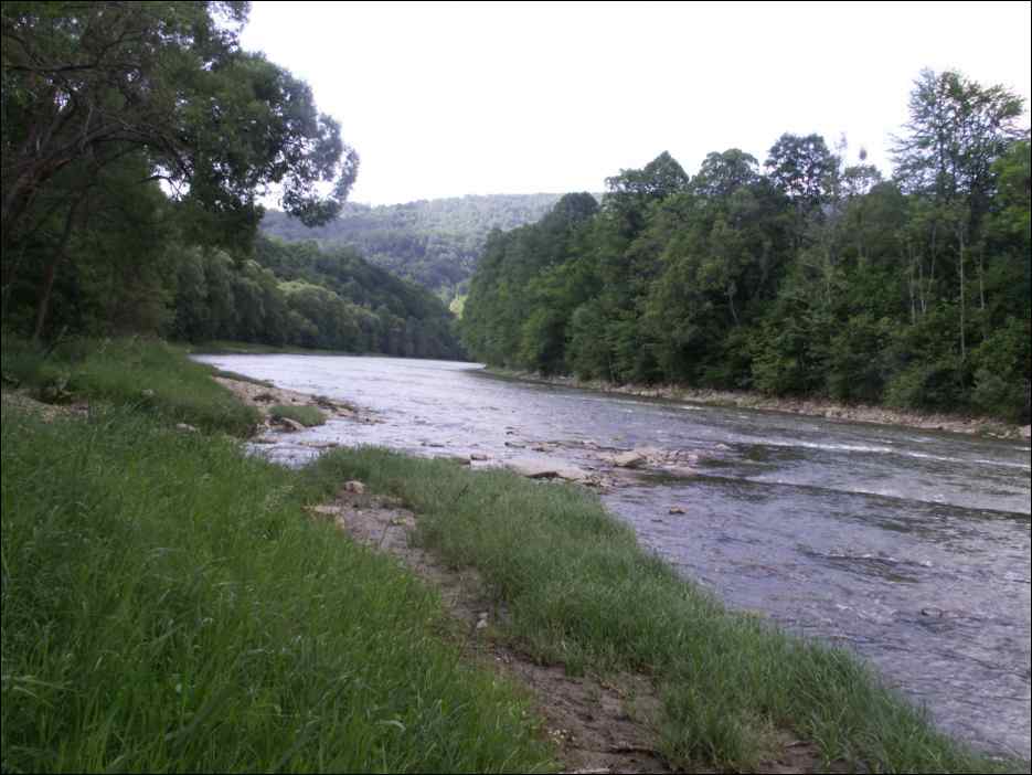 pict0014