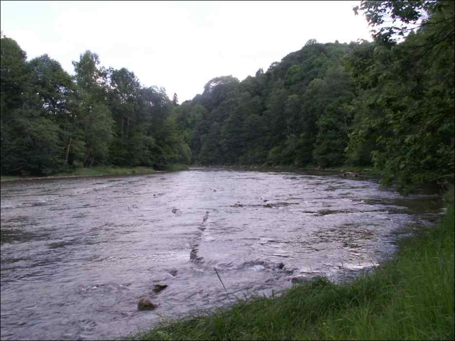 pict0015