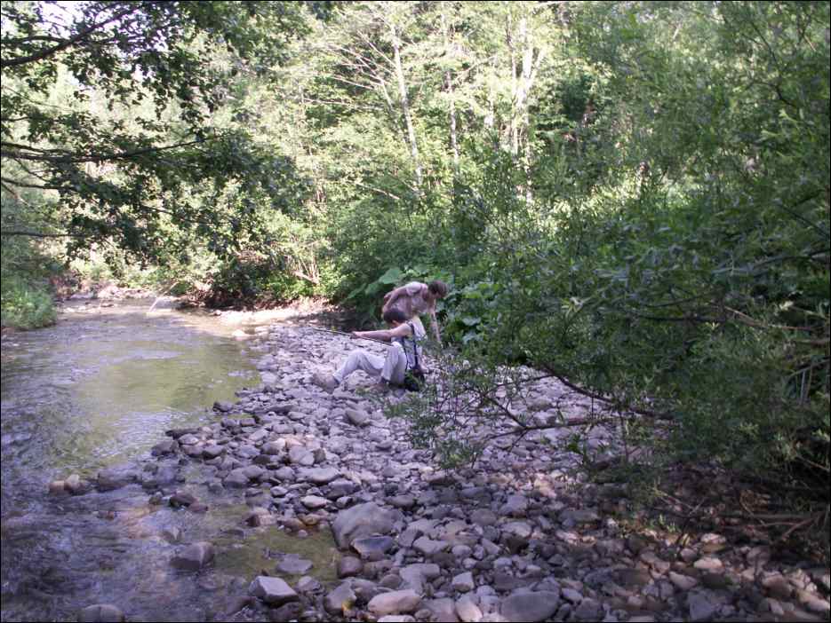pict0027
