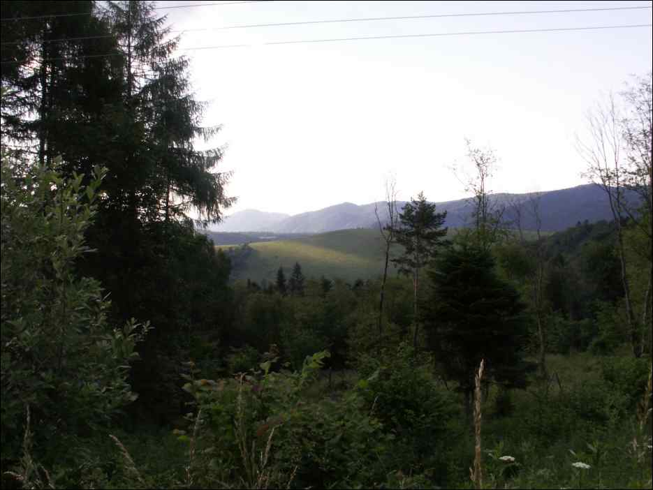 pict0029