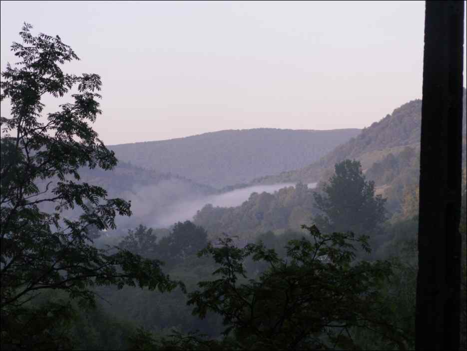 pict0001