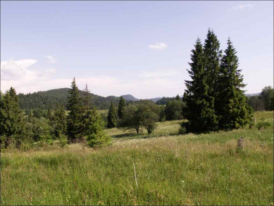 pict0036