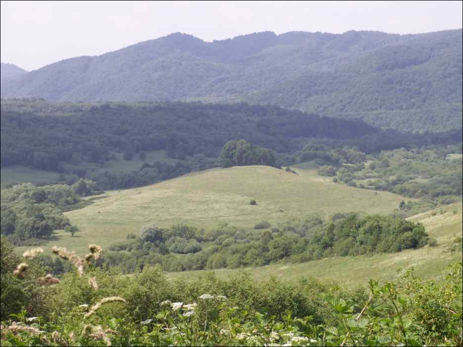 pict0011