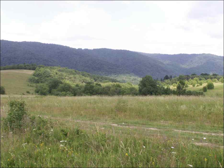 pict0020