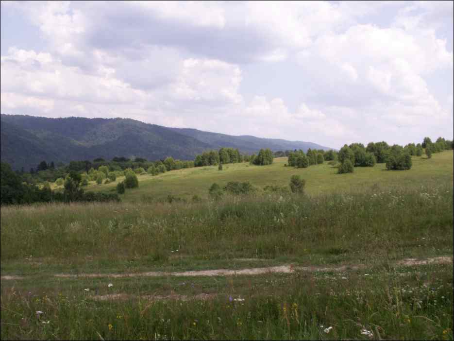 pict0021