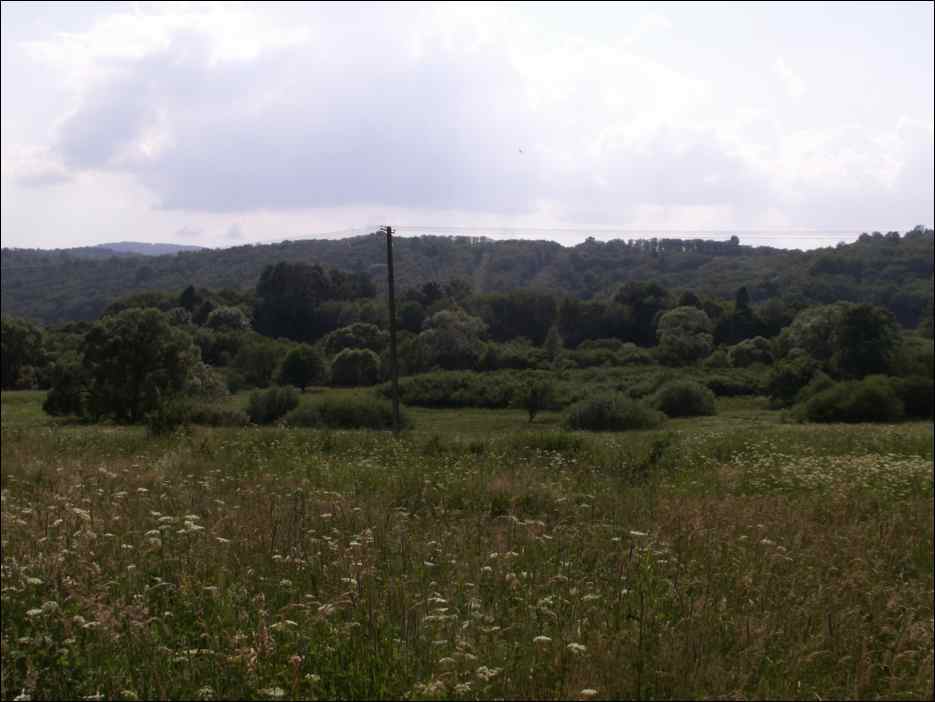 pict0036