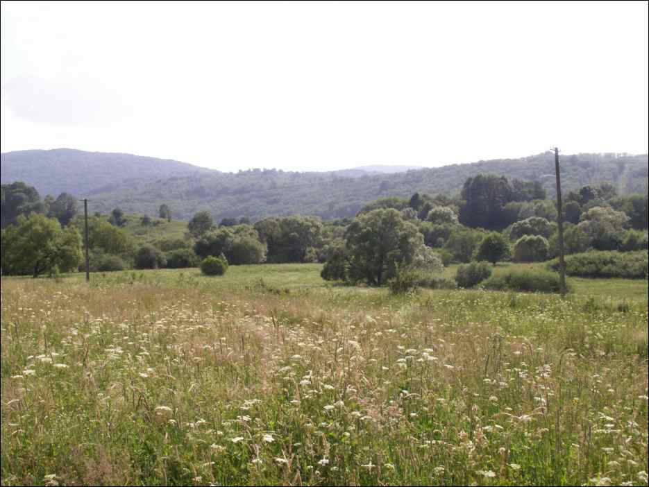 pict0037