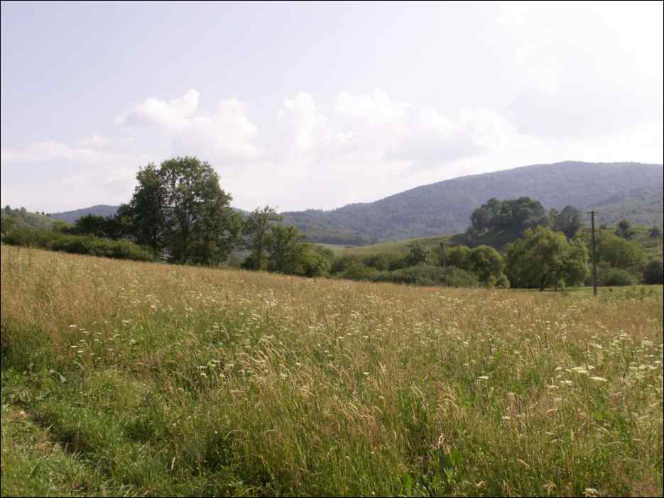 pict0039