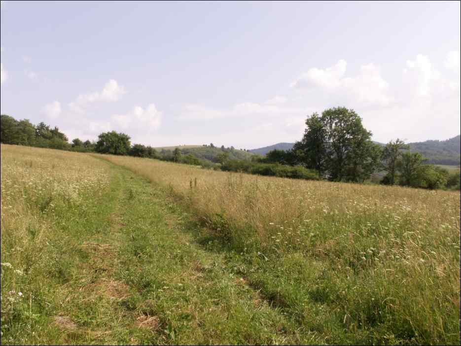 pict0040