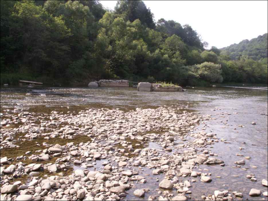 pict0044
