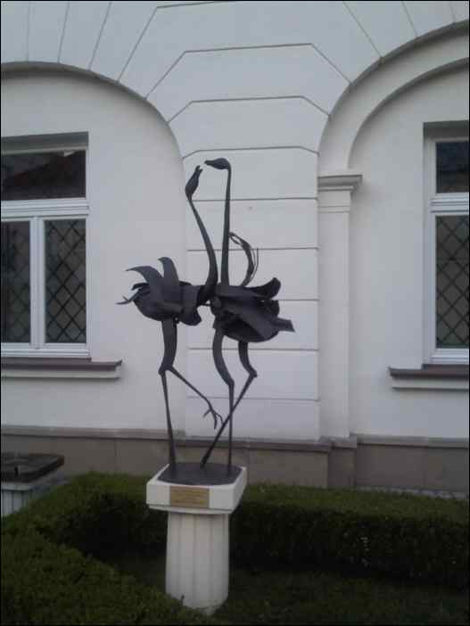 IMG050