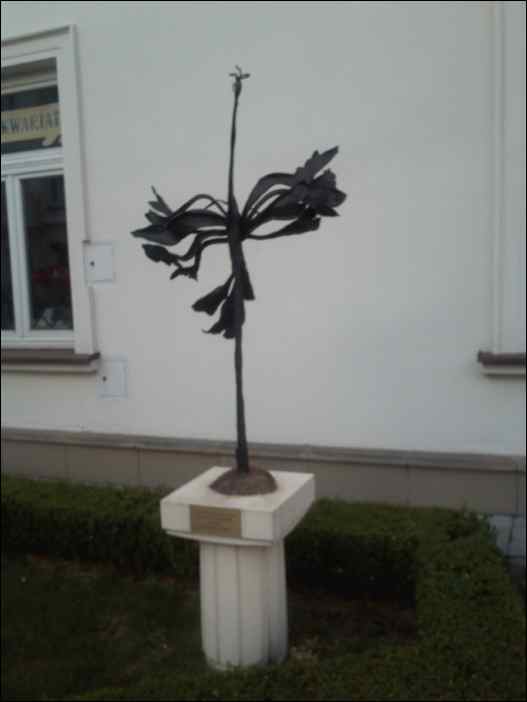 IMG051