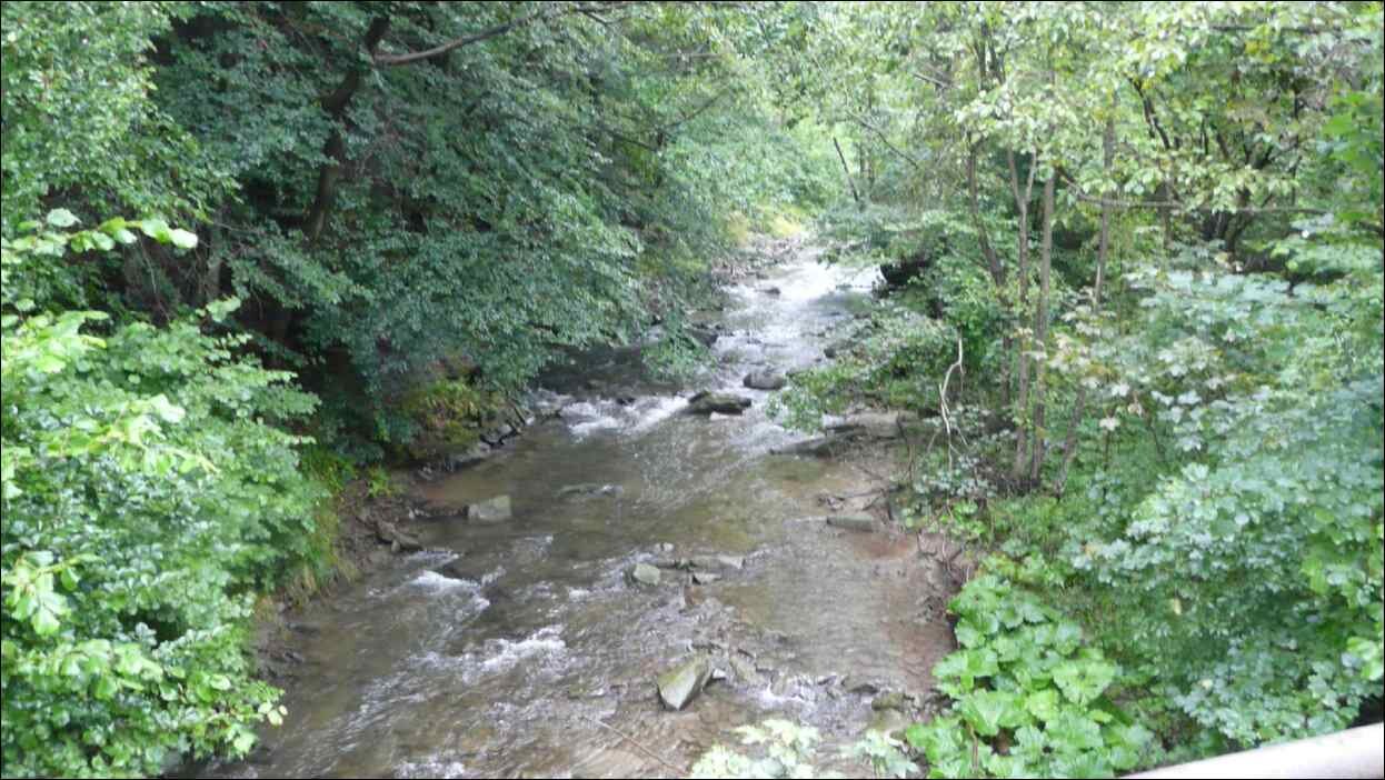 P1120441