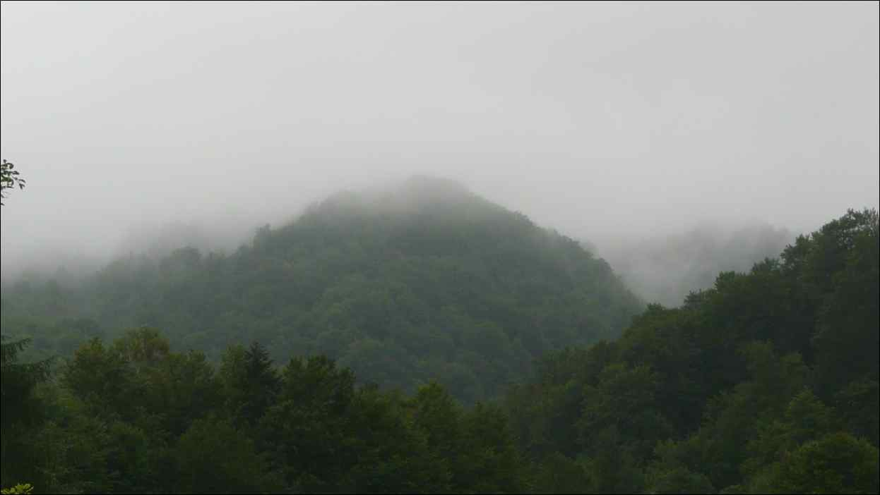 P1120444