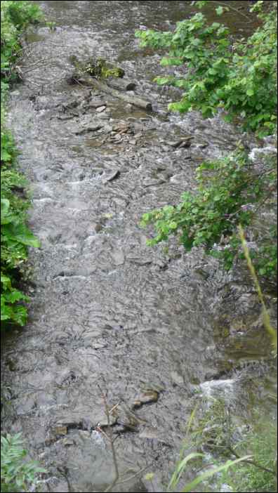 P1120450