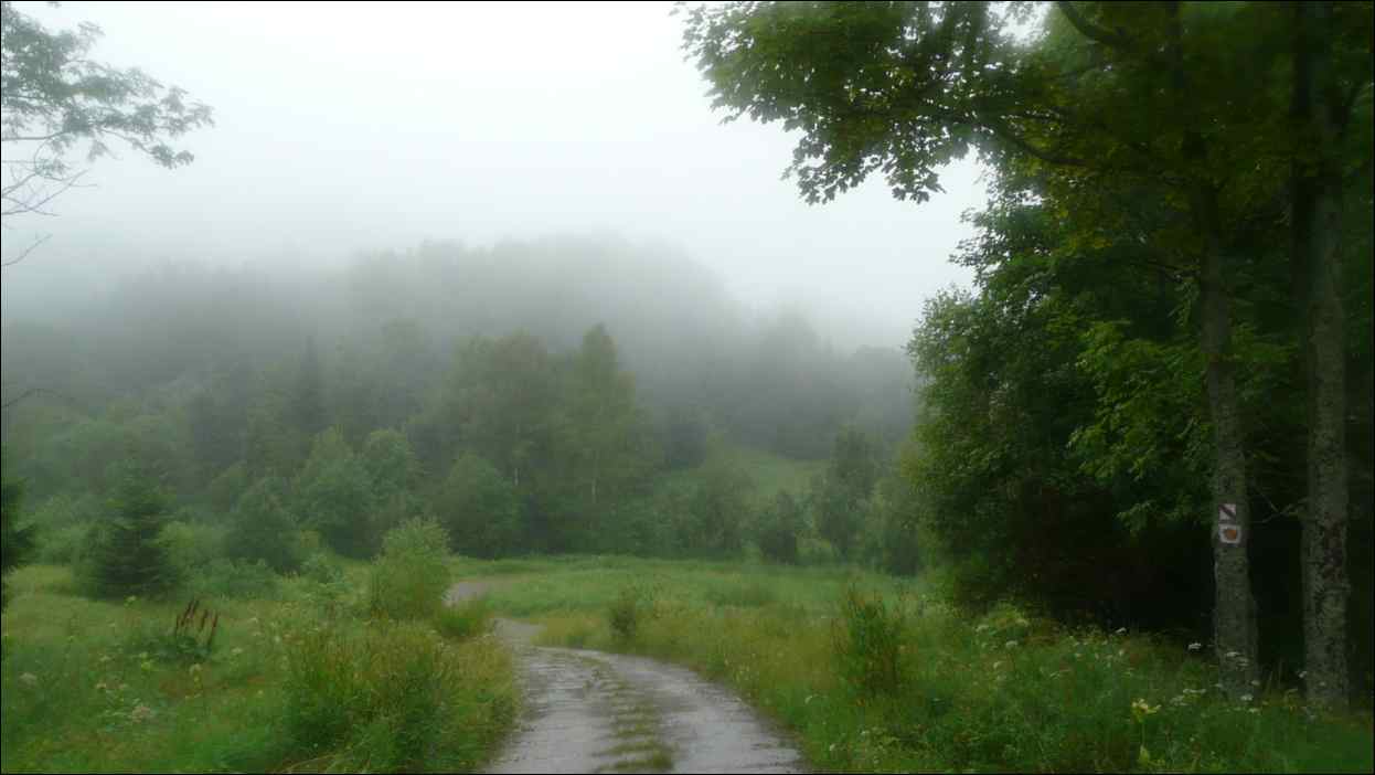 P1120454