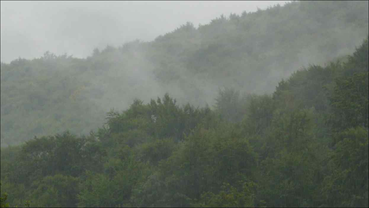 P1120464