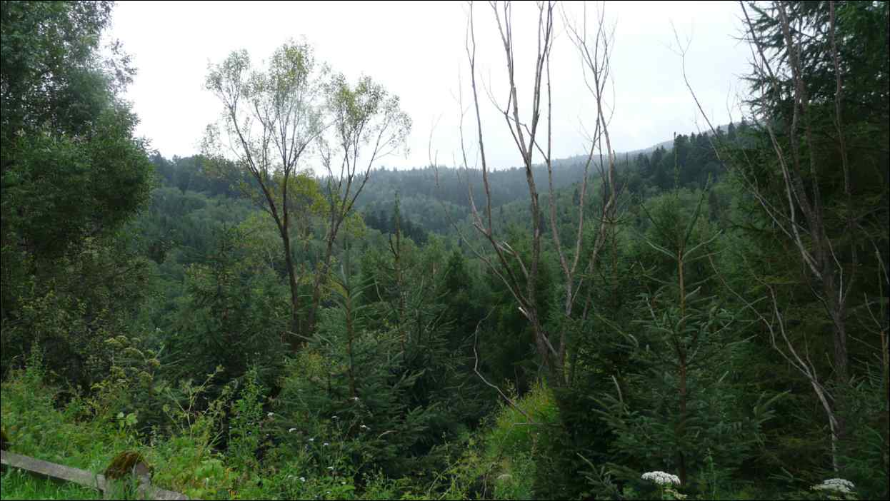 P1120495