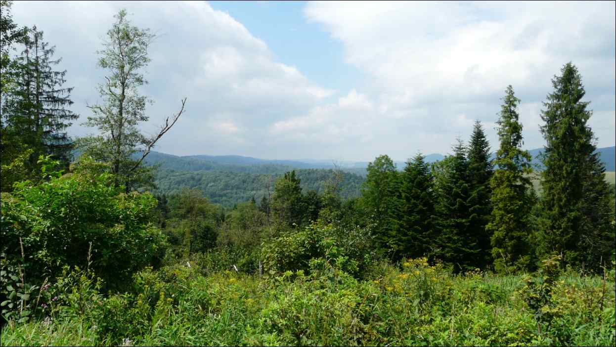 P1120510