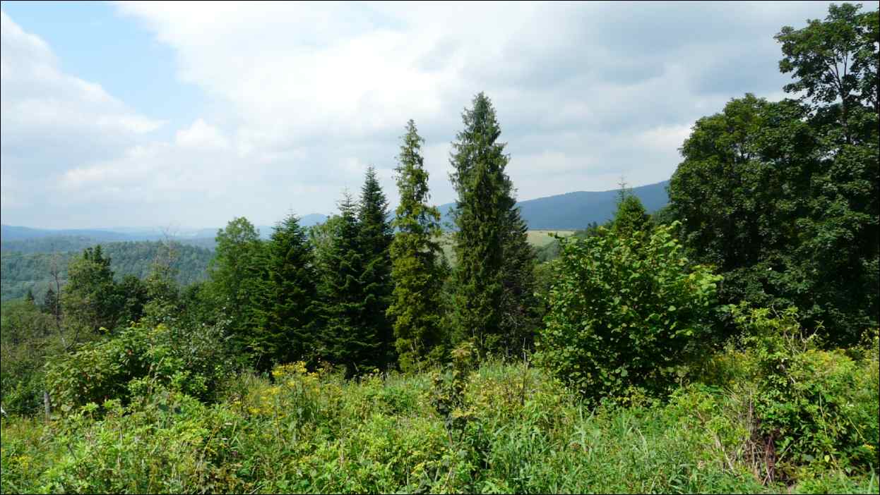 P1120512
