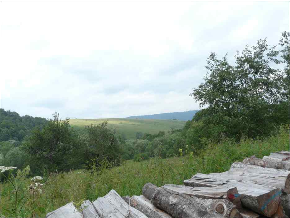 P1120516