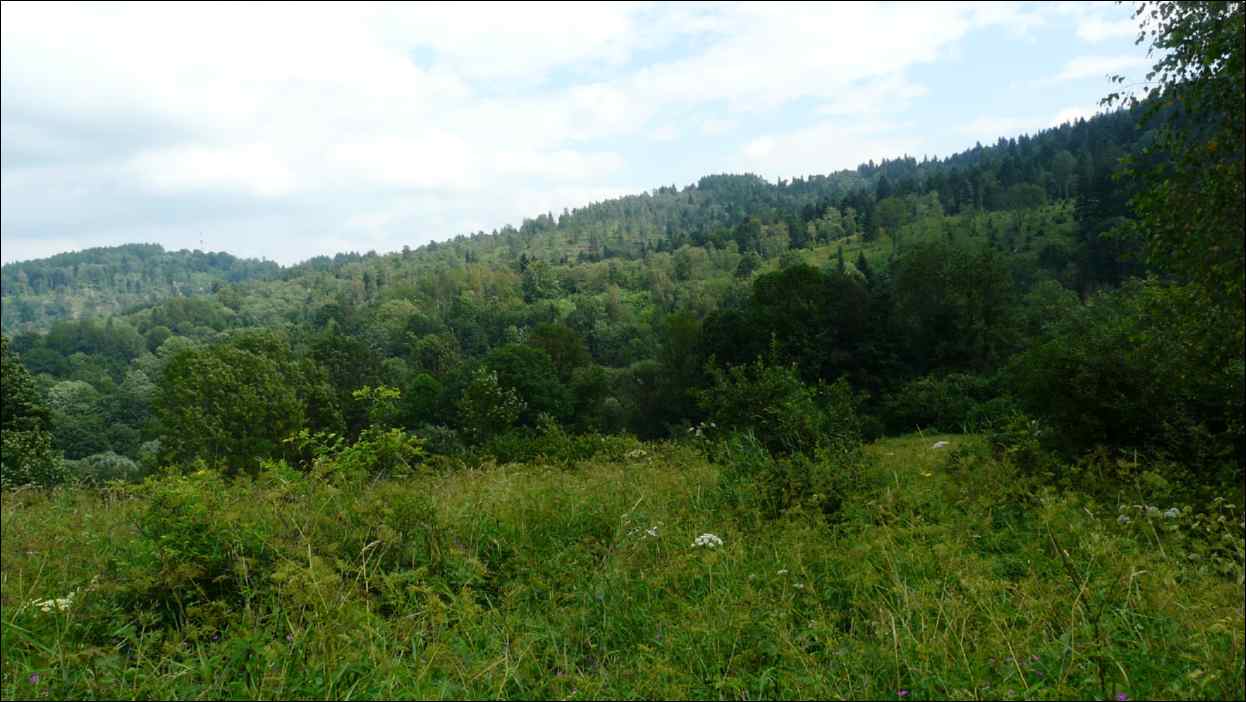 P1120518