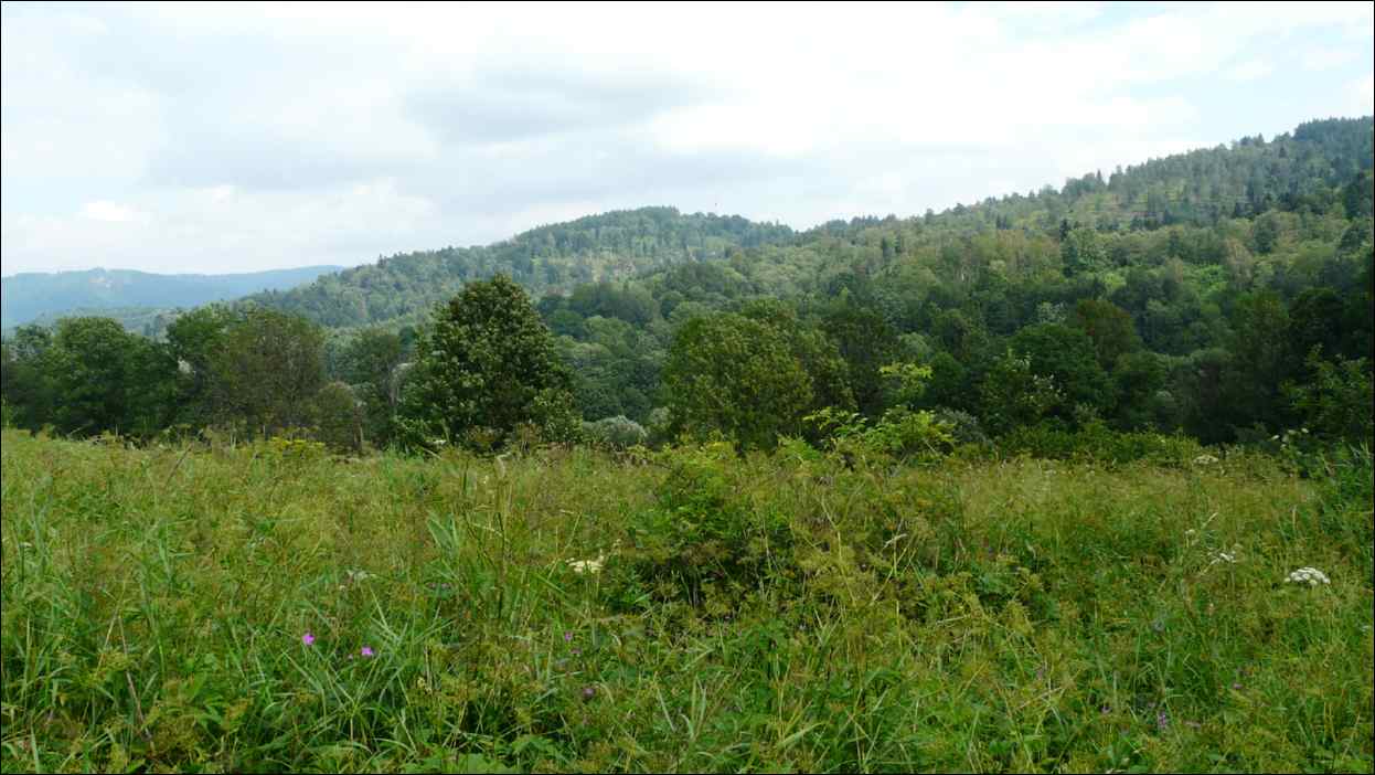 P1120519