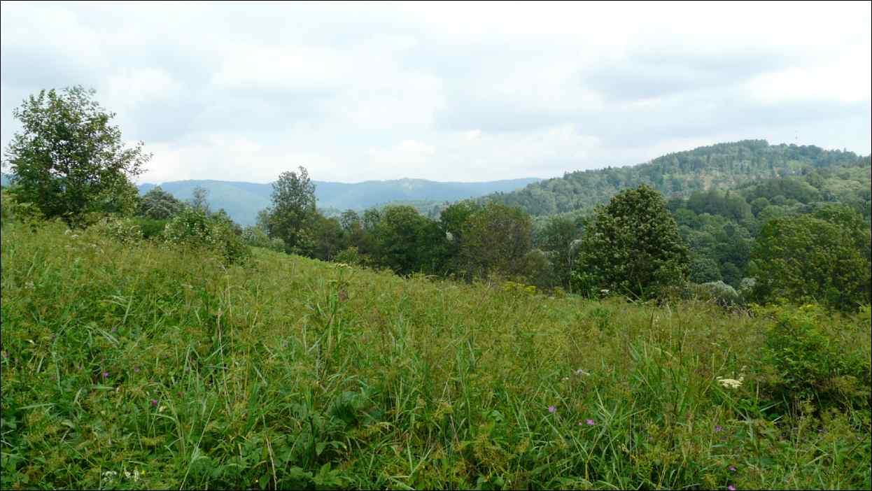 P1120520