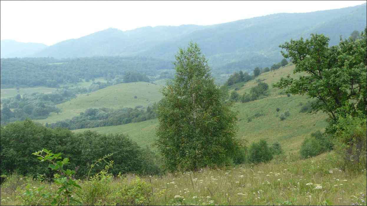 P1120526