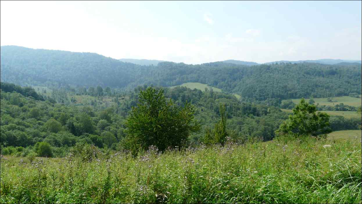 P1120528