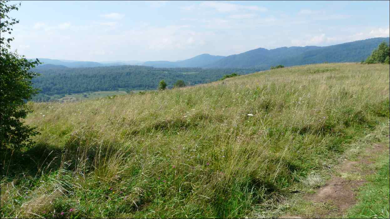 P1120530
