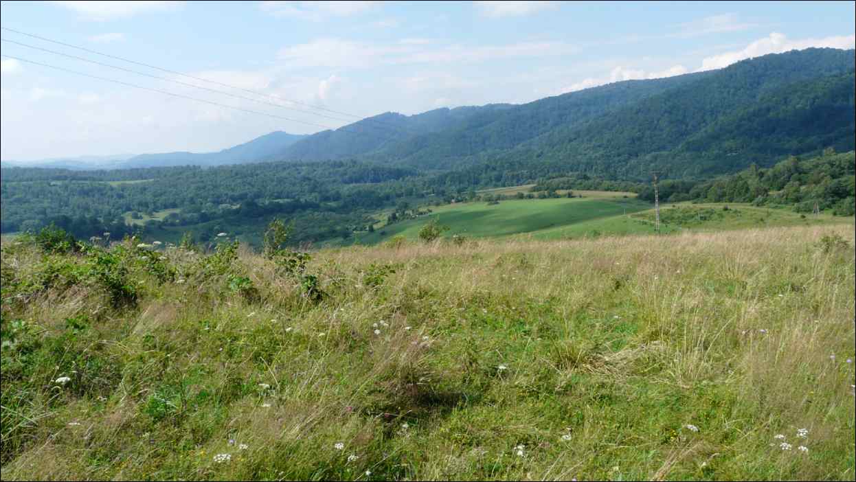 P1120531